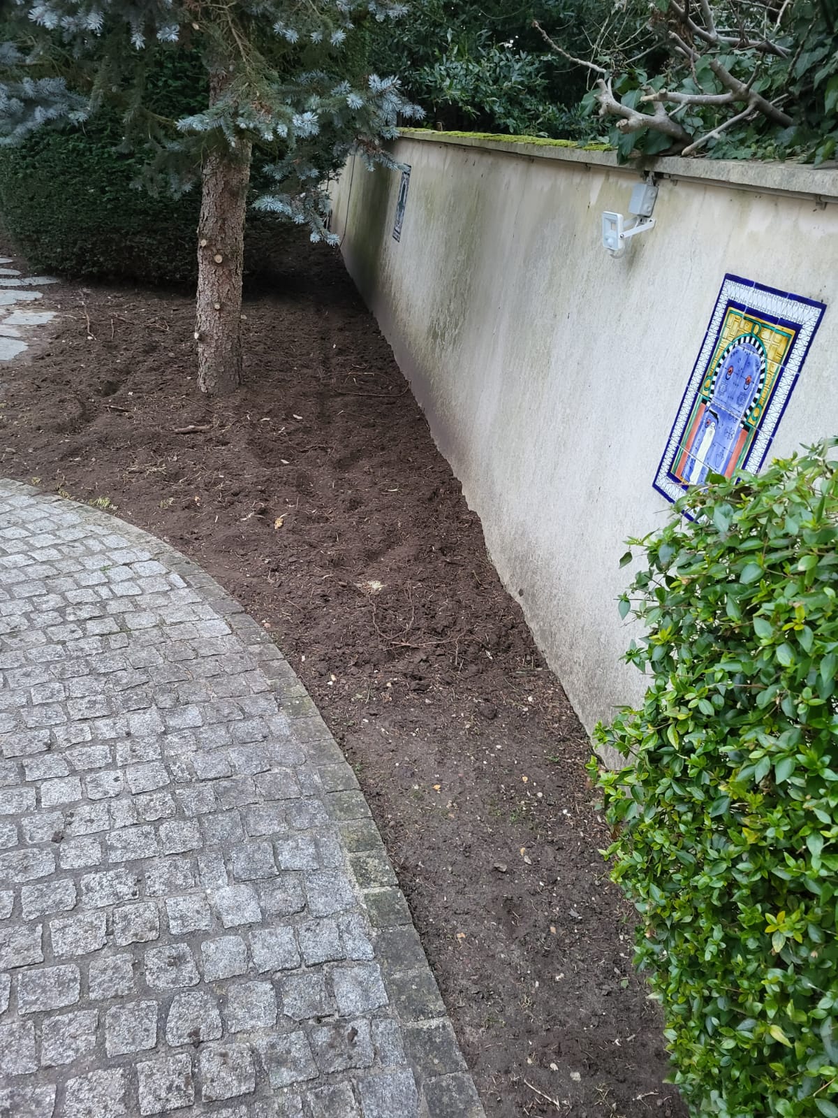 Bande de terre nue le long du mur avant travaux.