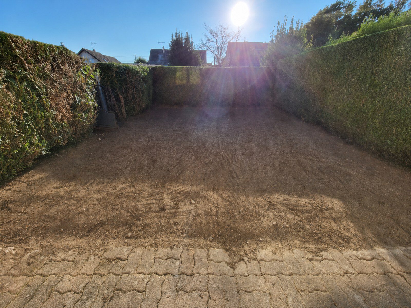Cour en terre nue entre deux haies avant travaux.