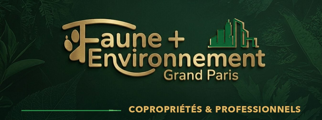 Copropriétés et professionnels